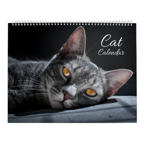 Cat Calendar 2022