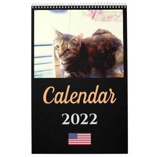 Cat Calendar 2022