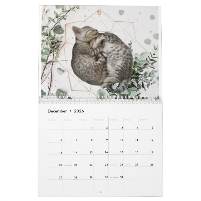 Cat Calendar 2023 (Dec 2026)