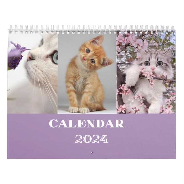 cat calendar 2024 - modern cut calendar (Cover)