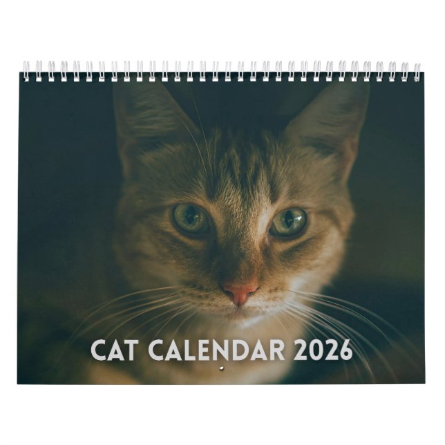 Cat Calendar 2026 (Cover)