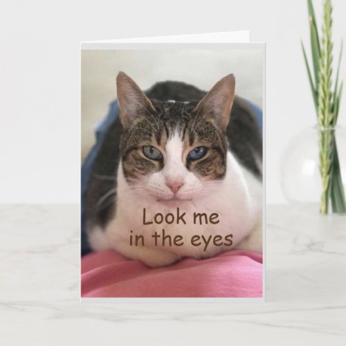 CAT CANT BELIEVE YOU ARE 50 CARD