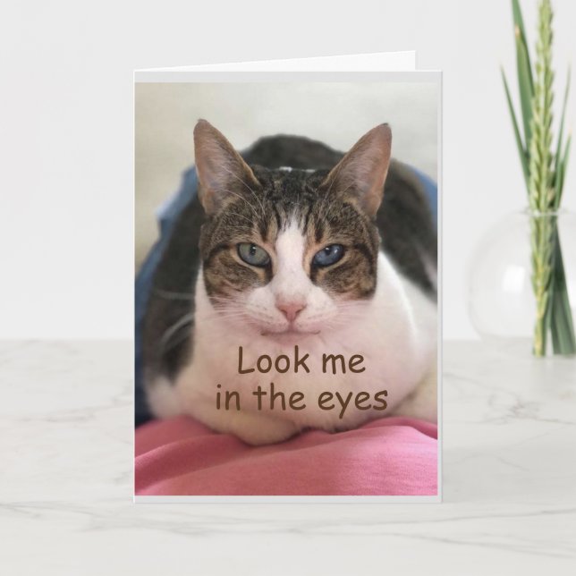 CAT CAN'T BELIEVE YOU ARE "60" CARD (Front)