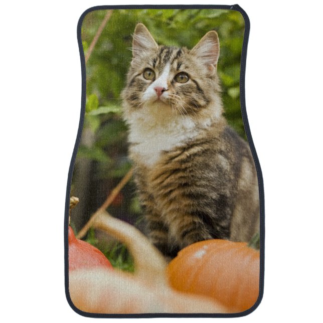 Cat Car Floor Mat (Front)