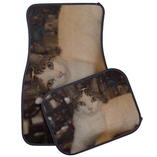 Cat car mats