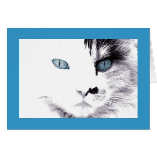 Cat Card (Front Horizontal)