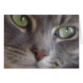 Cat Card (Front Horizontal)