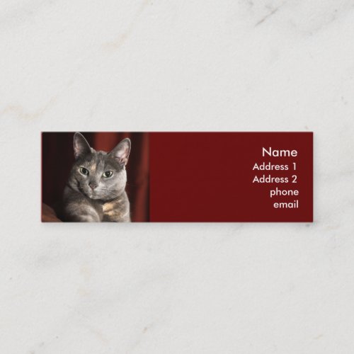 Cat card business card template