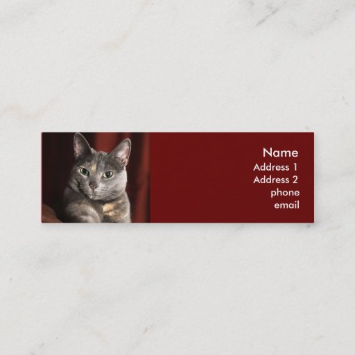 Customizable Cat card business card template