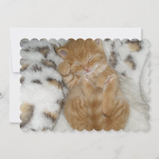 Cat Card (Front)