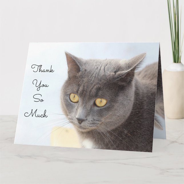 Cat Card Thank You So Much (Front)