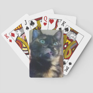 Cat Cards