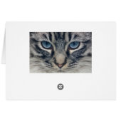 Cat Cards (Back Horizontal)