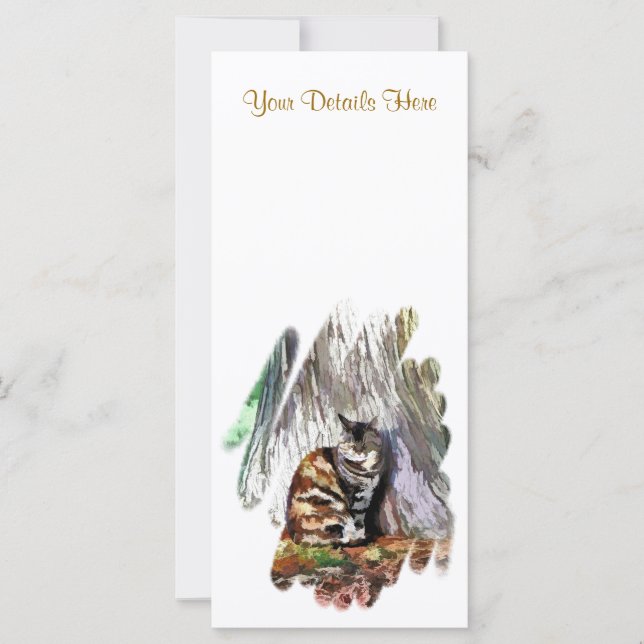 CAT CARDS (Front)