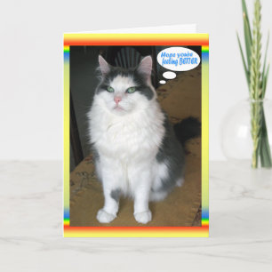 Cat Cards,Funny Get well Card