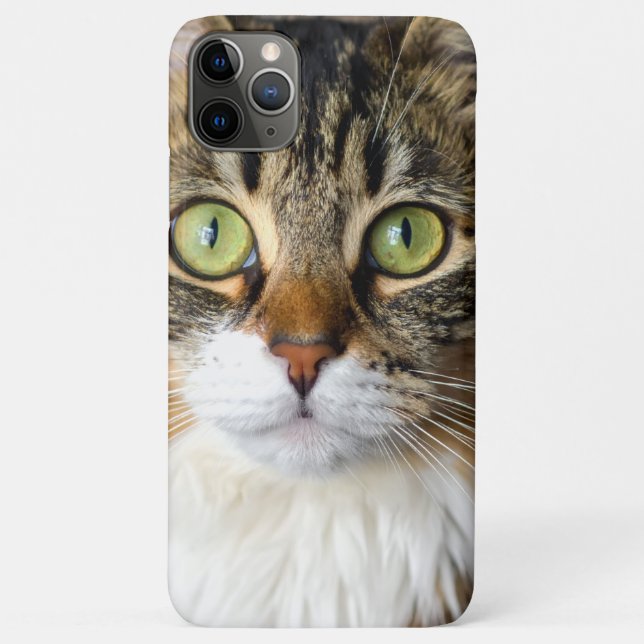 Cat Case-Mate iPhone Case (Back)