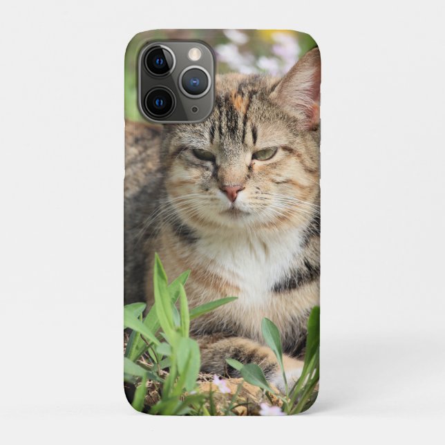 Cat Case-Mate iPhone Case (Back)