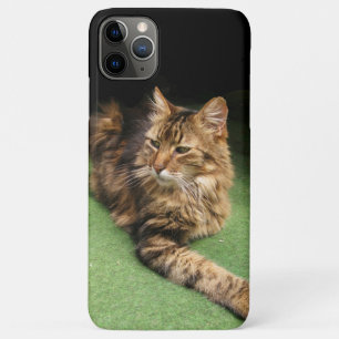 Cat iPhone 11 Pro Max Case