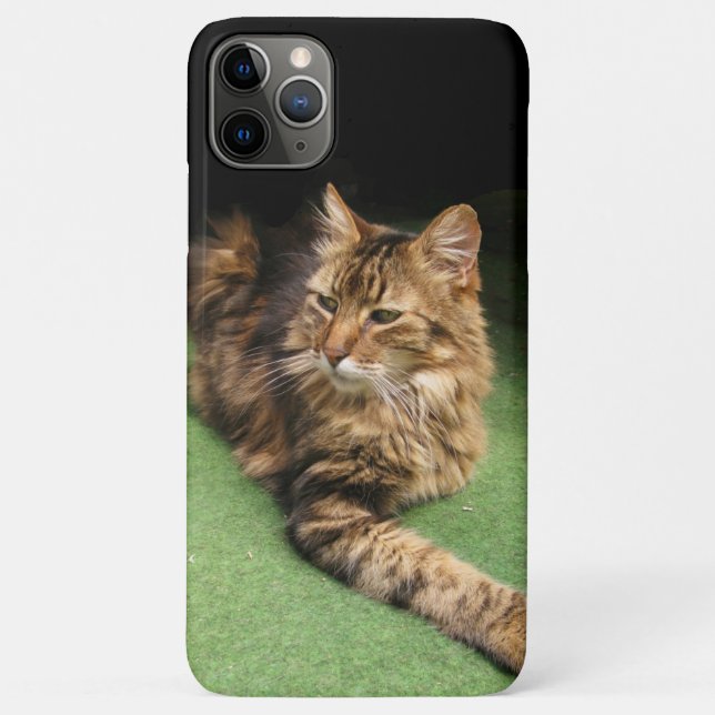 Cat Case-Mate iPhone Case (Back)