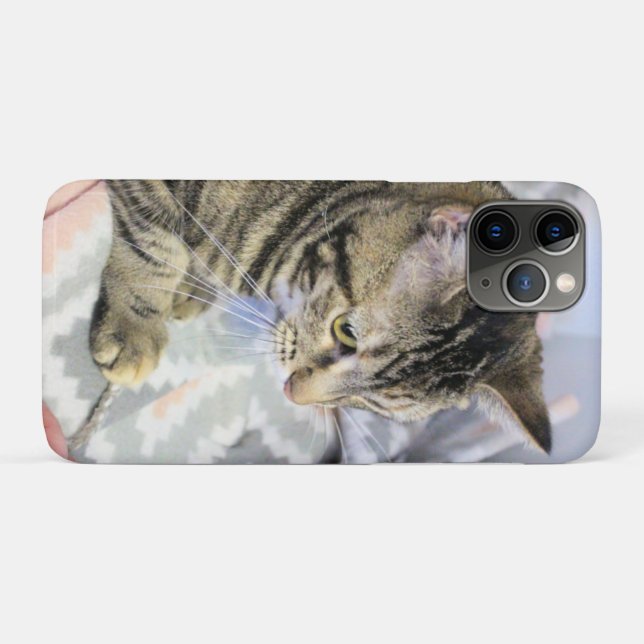 Cat Case-Mate iPhone Case (Back (Horizontal))