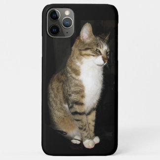 Cat iPhone 11 Pro Max Case