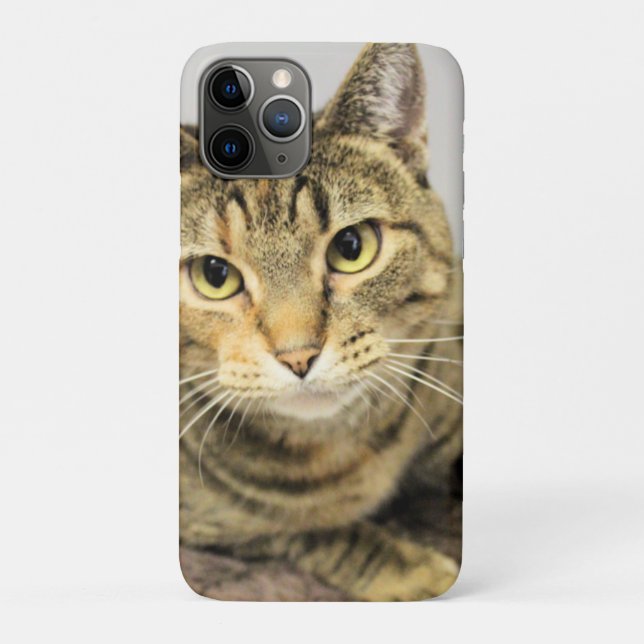 Cat Case-Mate iPhone Case (Back)