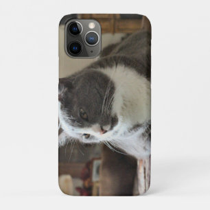 Cat iPhone 11 Pro Case