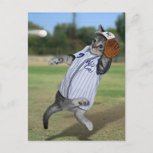 Cat Catcher in the Outfield! Postcard