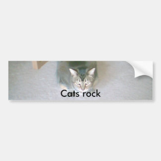 Cat, Cats rock Bumper Sticker