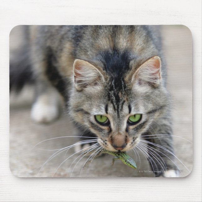 cat caught a lizard mouse pad (Front)