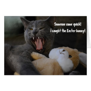 Cat Caught the Easter Bunny Funny Humor Greeting Cards