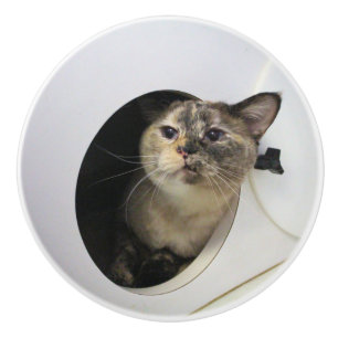 Cat  ceramic knob