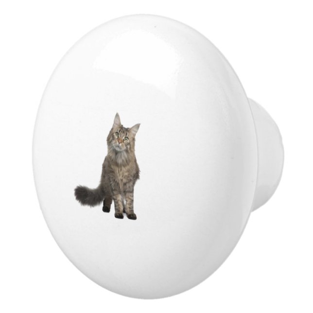 Cat Ceramic Knob (Right)