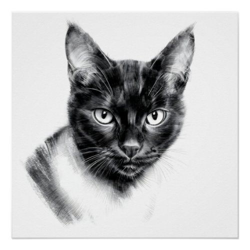 Cat Charcoal Poster