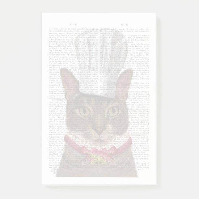 Cat Chef Post-it Notes (Front)