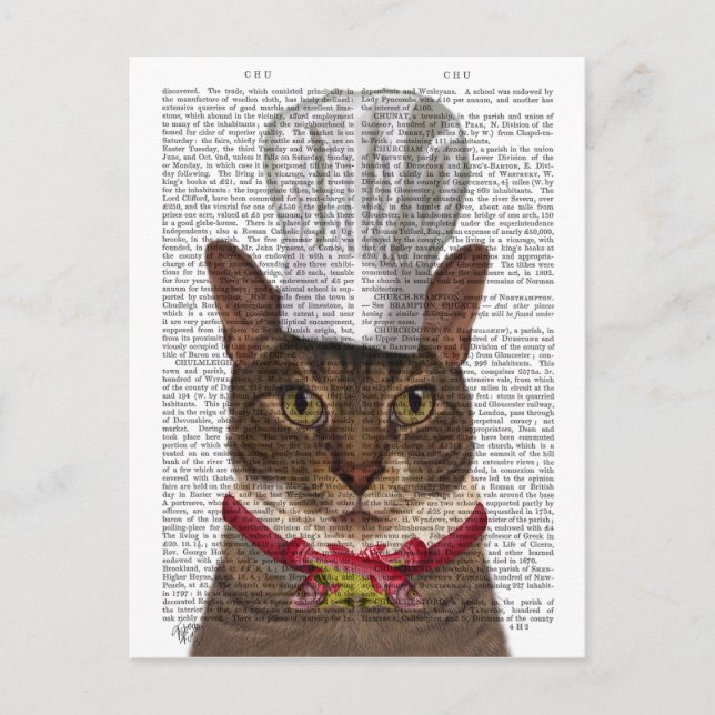 Cat Chef Postcard (Front)