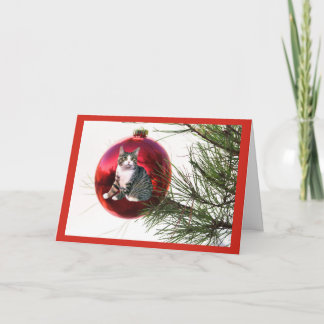 Cat Christmas Card