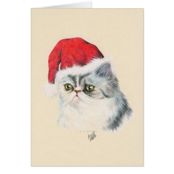 Cat Christmas Card