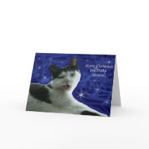 Cat Christmas Filthy Animal