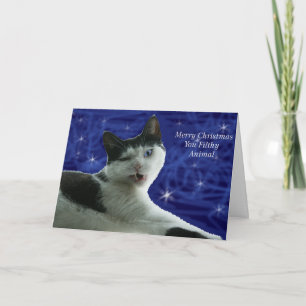 Cat Christmas Filthy Animal Holiday Card