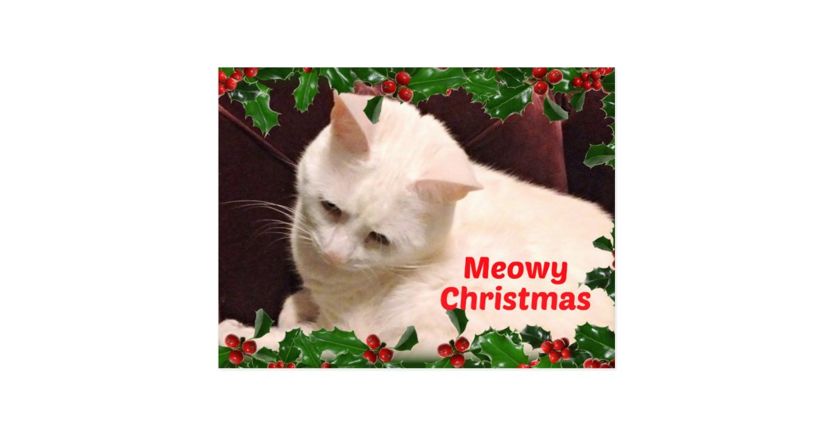 Cat Christmas Greetings Postcard | Zazzle.com