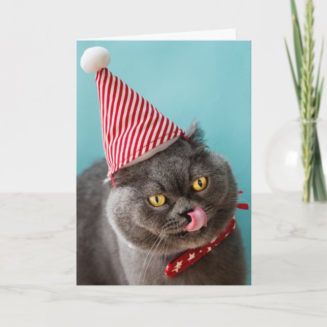 Cat Christmas Humor Card (Front)