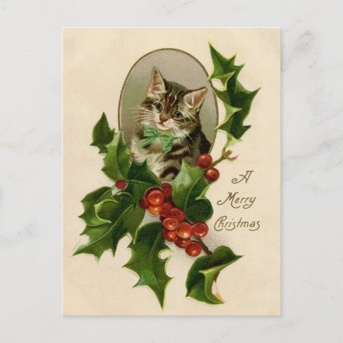 Cat Christmas Merry Holly Kitty Antique Art Postcard