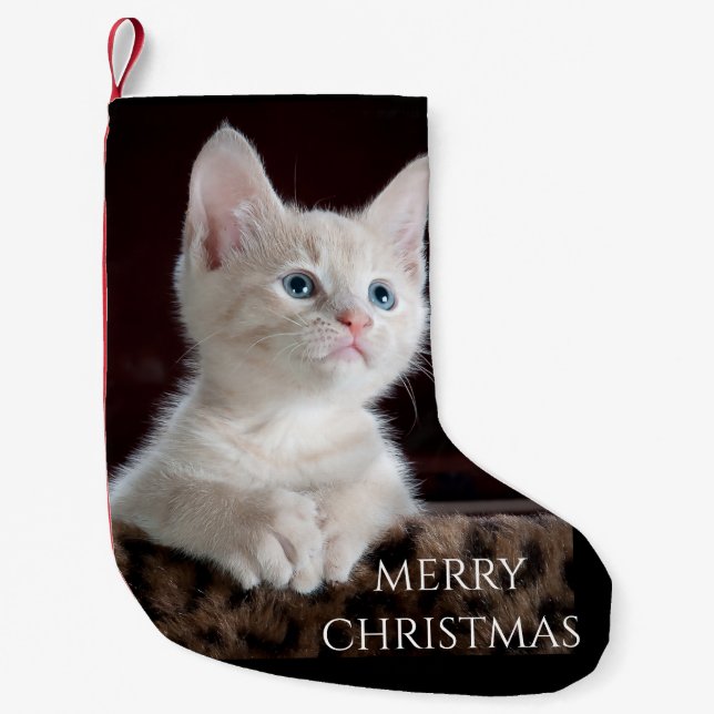 Cat Christmas Stocking. Small Christmas Stocking (Front)