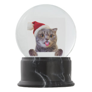 SD-204RGL Kitten with Rose 'Special Daughter' Photo Snow Globe Waterball Stocki 