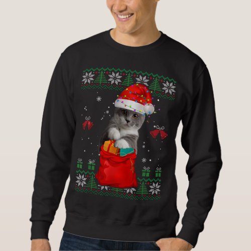 Cat Christmas Tree Lights Santa Hat Cat Lover Sweatshirt