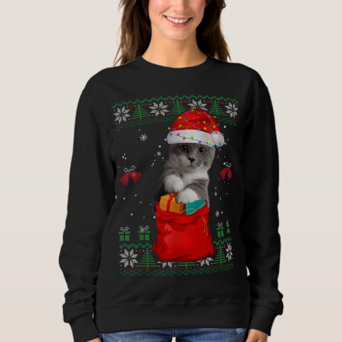 Cat Christmas Tree Lights Santa Hat Cat Lover Sweatshirt