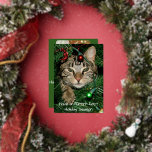 Cat Christmas Tree Perfect Holiday Christmas Card<br><div class="desc">This cat in a Christmas tree Holiday Card with your own photo on the back is the perfect Christmas card for a cat loving family. The card is fun, simple with a plain script message to have a Purrrr-fect Holiday. You can personalize with your own Holiday message to suit your...</div>
