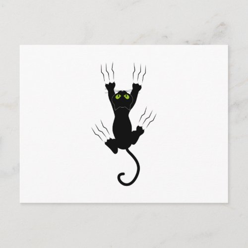 cat claws gato com garras postcard