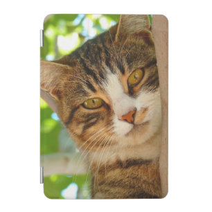 Cat Climbing a Tree iPad Mini Cover